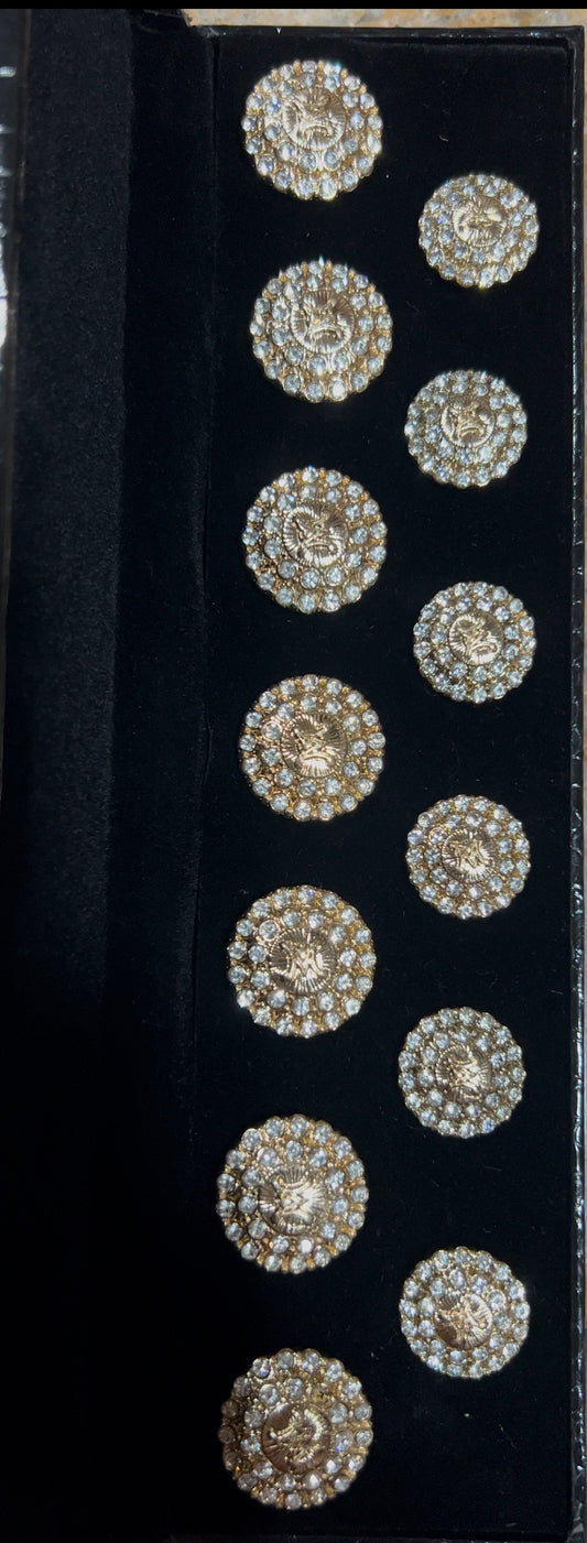 Mirell Sherwani/Jodhpuri Buttons