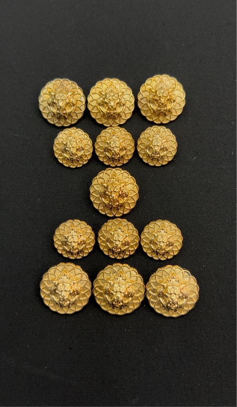 Jaguar Faced Gold Sherwani / Jodhpuri Buttons